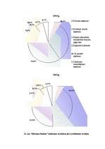 Diplomdarbs '"Rietumu Bankas" finansiālās darbības analīze un tās pilnveidošana', 39.