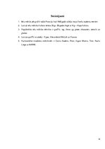 Referāts 'Ielu māksla Latvijā', 14.