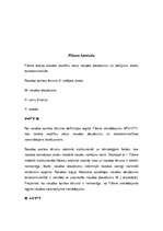 Konspekts 'Banknošu pretviltošanas elementi', 5.