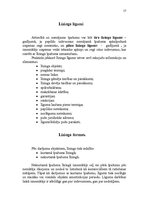 Referāts 'Līzinga nozīme ekonomikas attīstībā. Līzinga būtība, formas un veidi', 17.