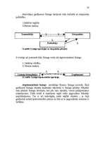 Referāts 'Līzinga nozīme ekonomikas attīstībā. Līzinga būtība, formas un veidi', 19.