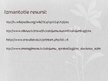 Prezentācija 'Ēģipte', 10.