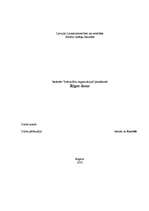 Referāts 'Rīgas Dome', 1.