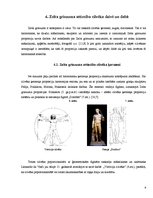 Referāts 'Zelta griezums', 9.