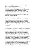 Konspekts 'Biometriskie skenējumi - sejas atpazīšanas tehnoloģijas', 3.