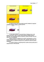 Referāts 'Hārdija-Veinberga likuma darbība cilvēku populācijā', 3.