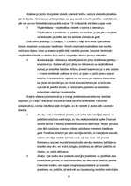 Referāts 'Bērnu ar valodas sistēmas nepietiekamu attīstību domāšanas operāciju īpatnības s', 19.