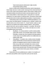 Referāts 'Bērnu ar valodas sistēmas nepietiekamu attīstību domāšanas operāciju īpatnības s', 20.