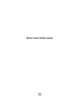 Referāts 'Dabas resursi Saldus rajonā', 1.