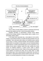 Diplomdarbs 'Dzīvokļu apsaimniekošanas saimnieciskās darbības izvērtējums un iespējas', 15.