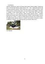 Referāts 'Tūrisms Latvijā', 13.