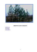 Eseja 'Vides projekts "Gaisa piesārņojums"', 5.