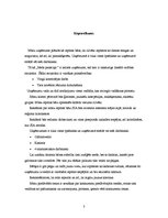 Biznesa plāns 'Biznesa plāns par atpūtas bāzi', 3.