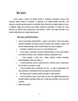 Referāts 'Kruīzu kuģi kā tūrisma sektors, to darbības specifika, ievērojamākās kompānijas', 3.
