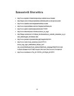 Referāts 'Kruīzu kuģi kā tūrisma sektors, to darbības specifika, ievērojamākās kompānijas', 16.