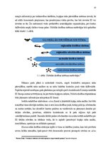 Diplomdarbs 'Akcīzes preču kontrabandas novēršana Latgales MKP', 10.