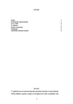 Referāts 'Simboliskais interakcionisms. Dž.H.Mīds, H.Blūmers', 2.