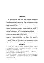 Referāts 'Sadzīves atkritumu biogāzes koģenerācijas elektrostaciju Latvijā ekonomiskais no', 17.