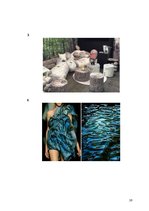 Referāts 'Dabas formas dizainā', 18.