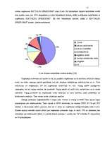 Diplomdarbs 'Personālvadības analīze', 12.