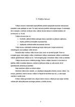 Referāts 'Galvenie statistiskie raksturotāji', 9.