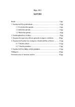 Referāts 'Starptautiskais Ruandas kara noziegumu tribunāls', 2.