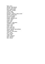 Prezentācija 'Muscle Car', 25.