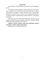 Referāts 'Pašvaldību darbības tiesiskie aspekti jaunā normatīvā regulējuma ietvaros', 2.