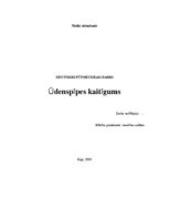 Referāts 'Ūdenspīpes kaitīgums', 1.