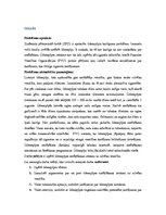 Referāts 'Ūdenspīpes kaitīgums', 3.