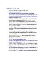 Referāts 'Ūdenspīpes kaitīgums', 16.