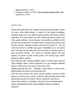 Referāts 'Ūdenspīpes kaitīgums', 17.