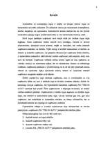 Diplomdarbs 'Autoservisa perspektīvās attīstības plāna izveide', 5.