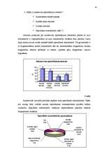 Diplomdarbs 'Autoservisa perspektīvās attīstības plāna izveide', 43.