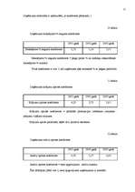 Diplomdarbs 'Autoservisa perspektīvās attīstības plāna izveide', 56.