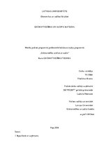 Prakses atskaite 'Grāmatvedība, analīze un audits', 1.