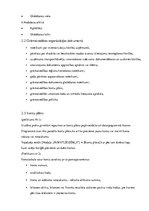 Prakses atskaite 'Grāmatvedība, analīze un audits', 6.