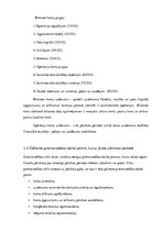 Prakses atskaite 'Grāmatvedība, analīze un audits', 7.