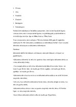 Prakses atskaite 'Grāmatvedība, analīze un audits', 10.