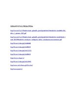 Prakses atskaite 'Grāmatvedība, analīze un audits', 19.