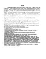 Referāts 'Profesiju nosaukumu darināšana latviešu valodā. Morfēmika, morfoloģija, vārddari', 2.