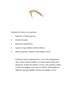 Referāts 'Zobu korekcijas nepieciešamība jauniešiem vecumā no 16 līdz 18 gadiem', 15.