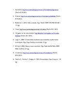 Referāts 'Zobu korekcijas nepieciešamība jauniešiem vecumā no 16 līdz 18 gadiem', 33.