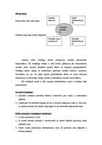 Konspekts 'Uzņēmuma ekonomiskās stratēģijas veidi un stratēģijas izvēle', 3.