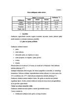 Referāts 'Saldējuma ražošanas tehnoloģija', 4.