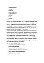 Referāts 'Saldējuma ražošanas tehnoloģija', 12.