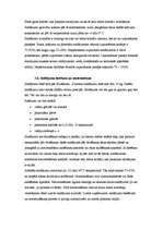 Referāts 'Saldējuma ražošanas tehnoloģija', 13.