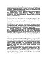 Konspekts 'Galvenie kultūras pētniecības koncepti', 5.