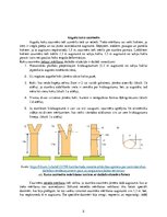 Referāts 'Meža taksācija', 5.