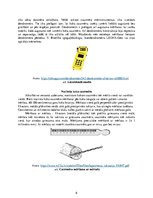 Referāts 'Meža taksācija', 6.